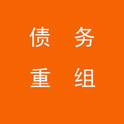 新华个人债务重组优化
